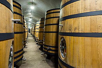 粉丝扫描1900款PS2游戏说明书 免费提供下载